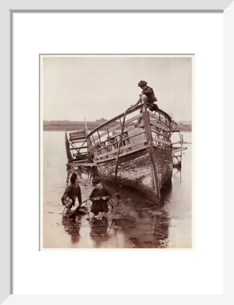 'Sea Urchins', 1888. - Image 42