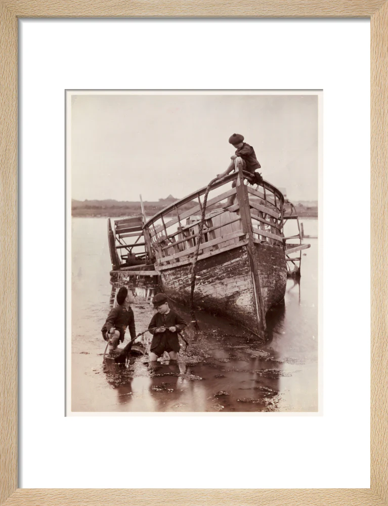 'Sea Urchins', 1888. - Image 44