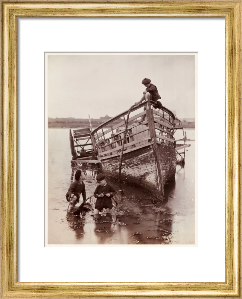 'Sea Urchins', 1888. - Image 5