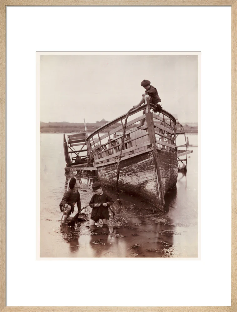 'Sea Urchins', 1888. - Image 54