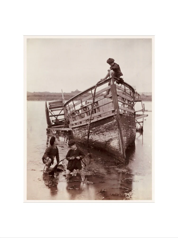 'Sea Urchins', 1888. - Image 55