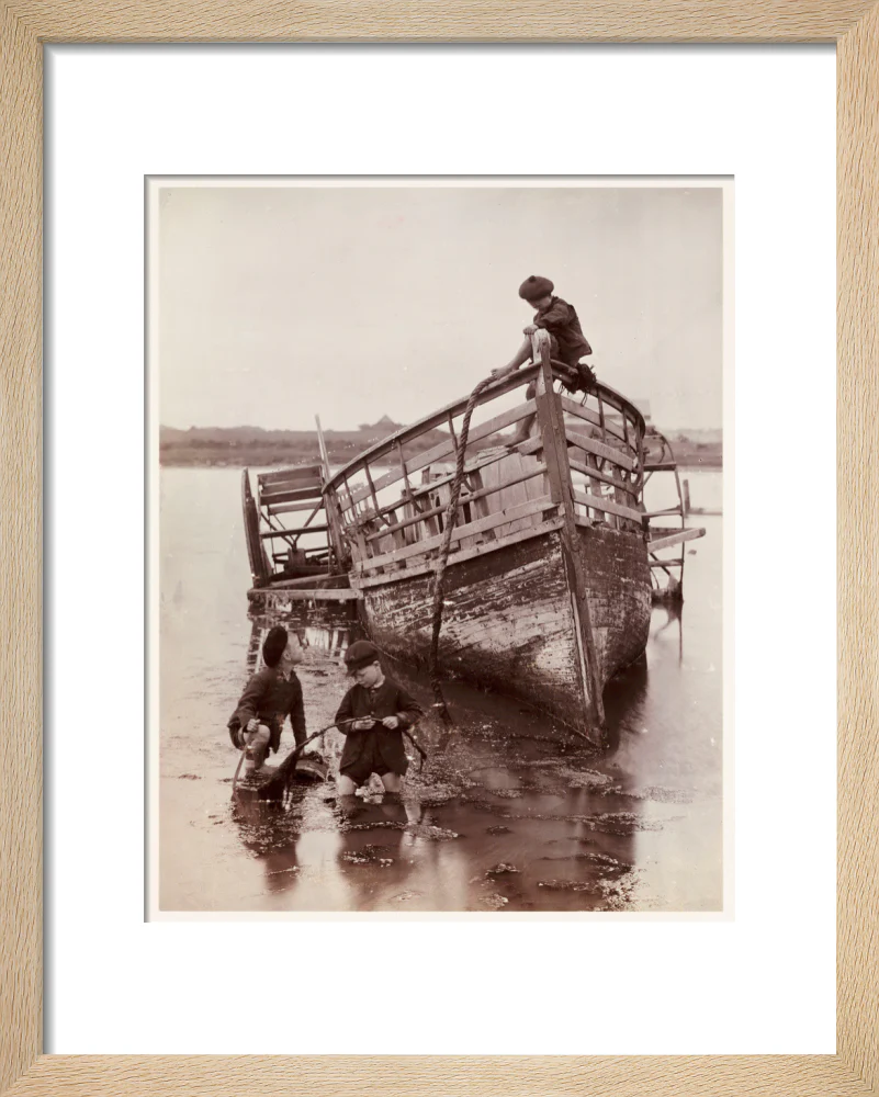 'Sea Urchins', 1888. - Image 6