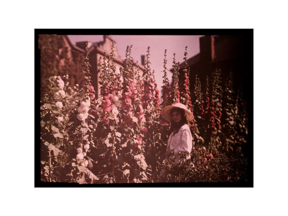 Girl in a garden with hollyhocks, 1908. - Image 22