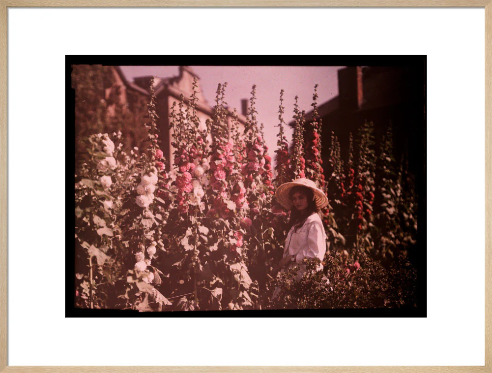 Girl in a garden with hollyhocks, 1908. - Image 26