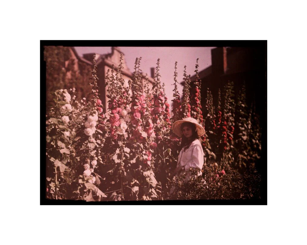 Girl in a garden with hollyhocks, 1908. - Image 27