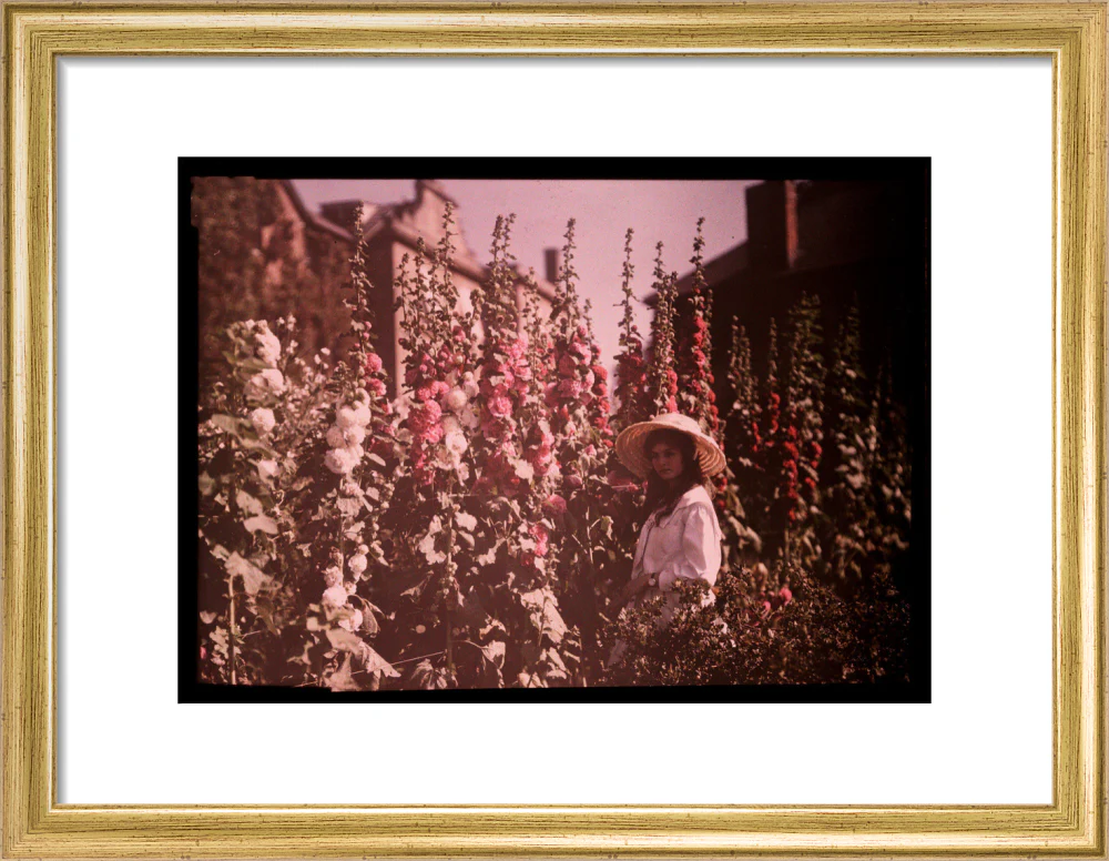 Girl in a garden with hollyhocks, 1908. - Image 43
