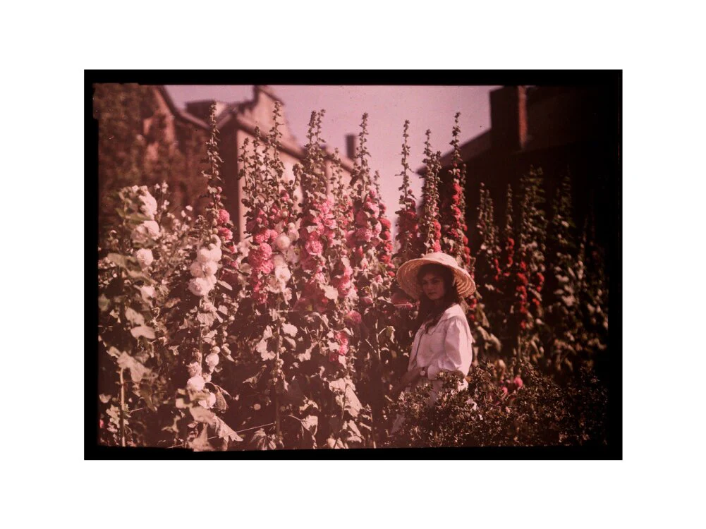 Girl in a garden with hollyhocks, 1908. - Image 50