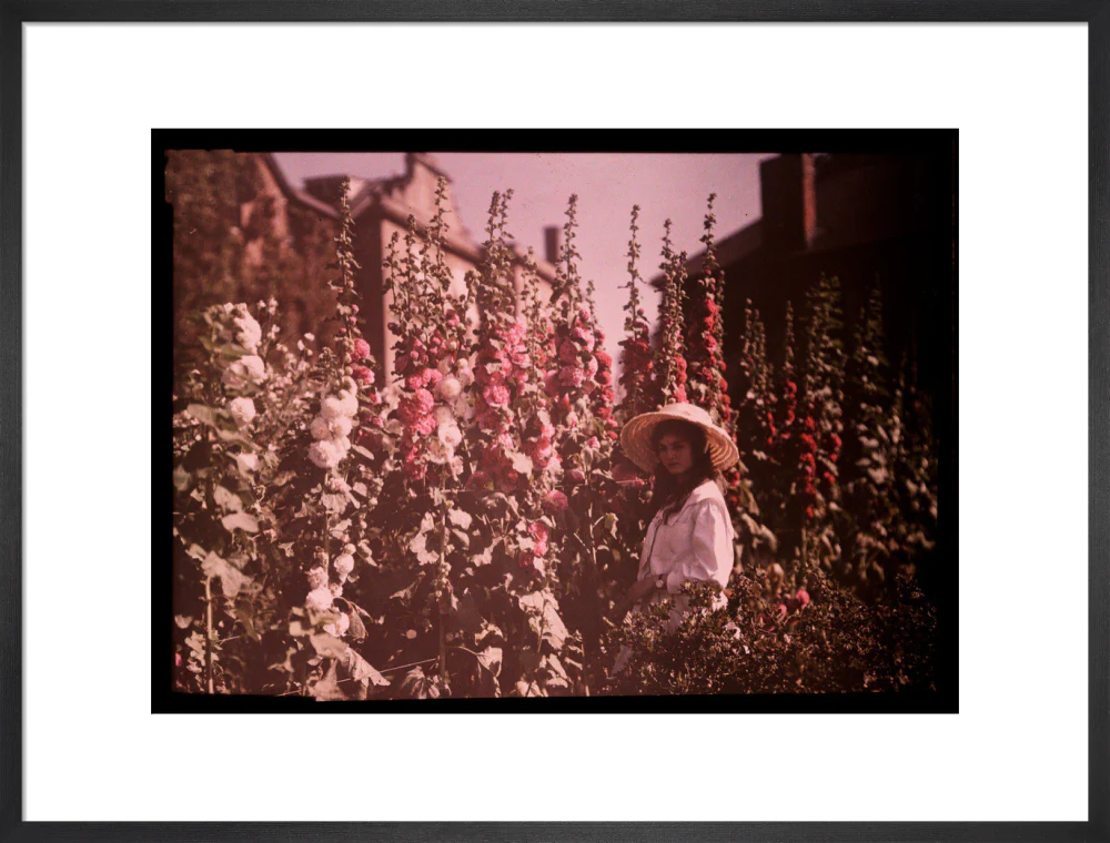 Girl in a garden with hollyhocks, 1908. - Image 51