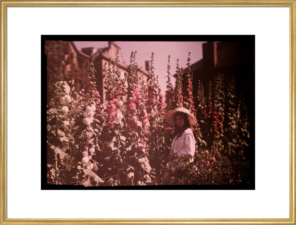 Girl in a garden with hollyhocks, 1908. - Image 58