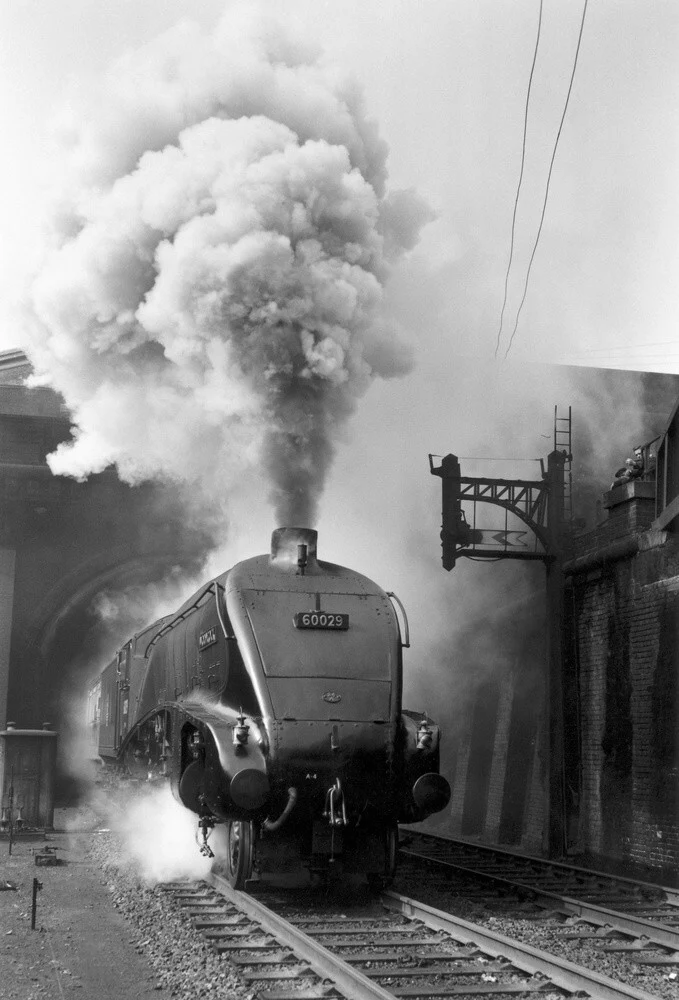 Woodcock', A4 Class steam locomotive No 60029 c.1954