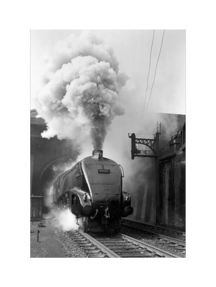 Woodcock', A4 Class steam locomotive No 60029 c.1954 - Image 17
