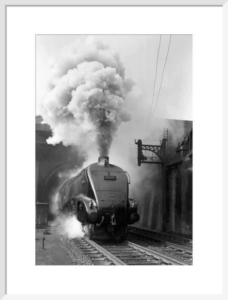 Woodcock', A4 Class steam locomotive No 60029 c.1954 - Image 19