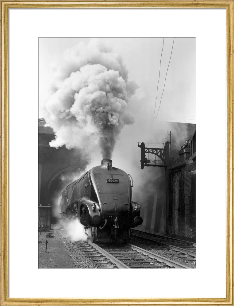 Woodcock', A4 Class steam locomotive No 60029 c.1954 - Image 20
