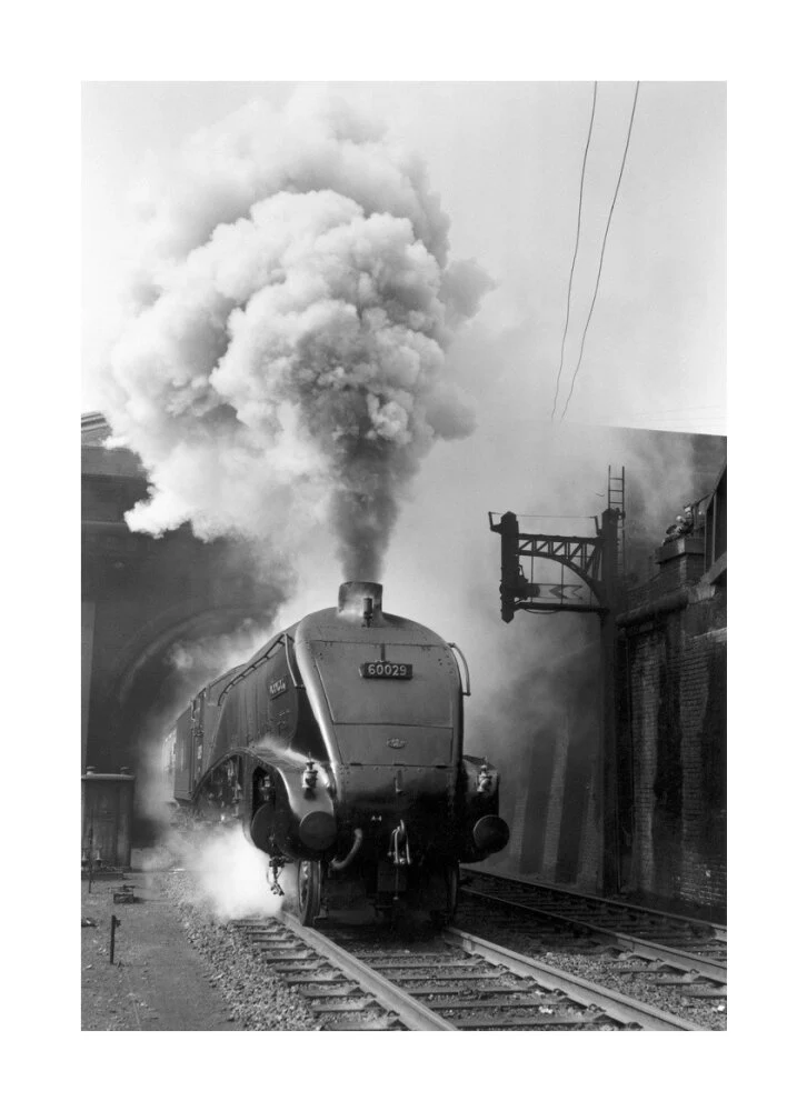 Woodcock', A4 Class steam locomotive No 60029 c.1954 - Image 29