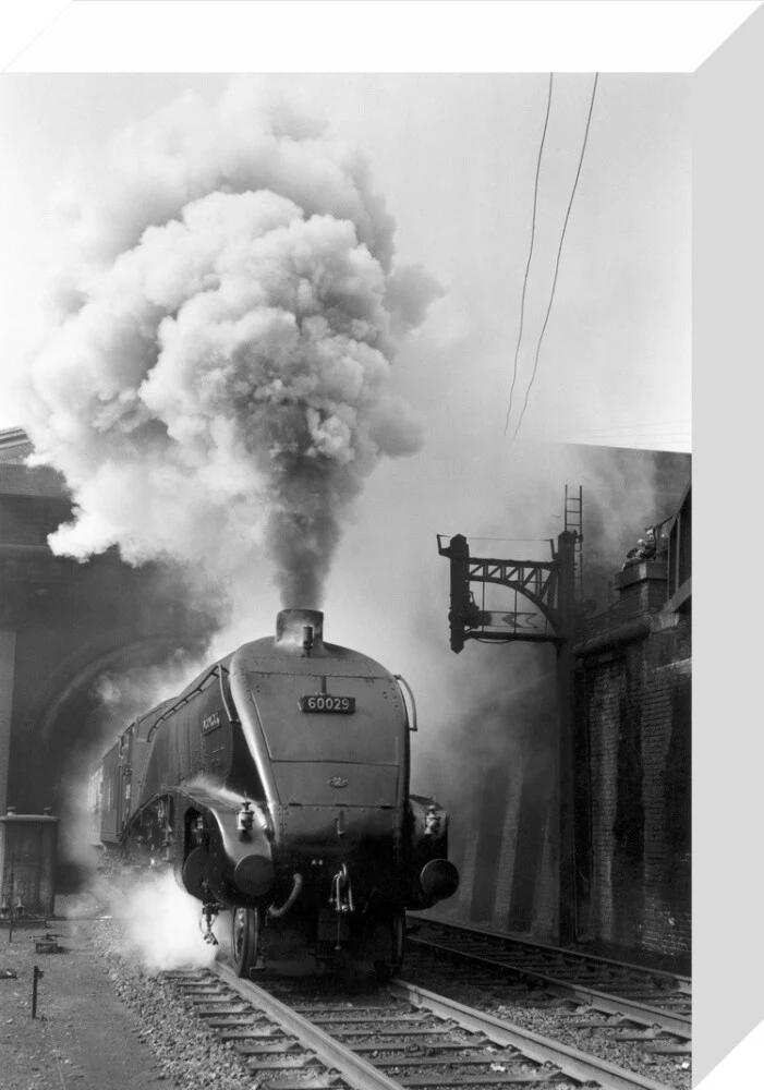 Woodcock', A4 Class steam locomotive No 60029 c.1954 - Image 31