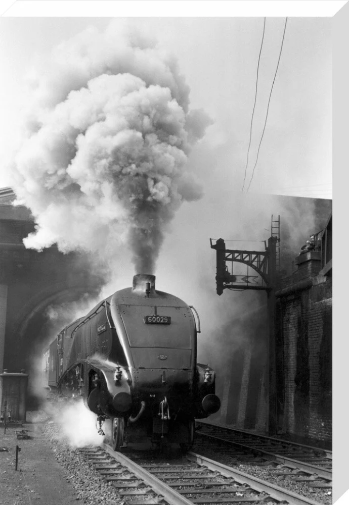Woodcock', A4 Class steam locomotive No 60029 c.1954 - Image 33