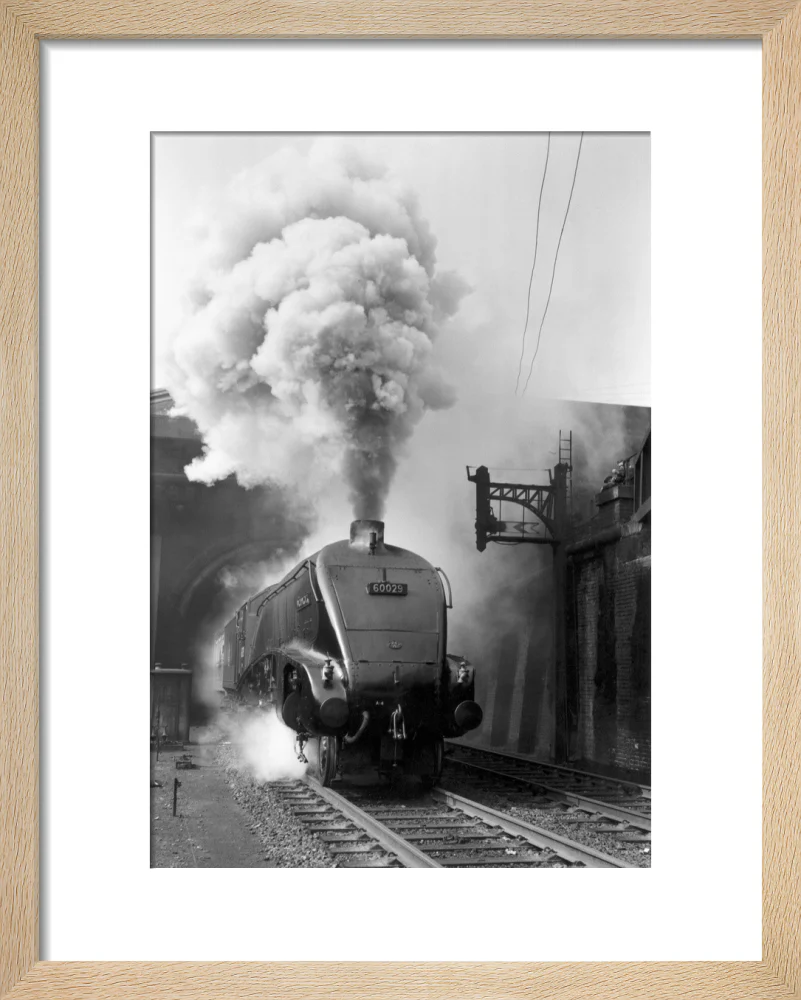Woodcock', A4 Class steam locomotive No 60029 c.1954 - Image 39