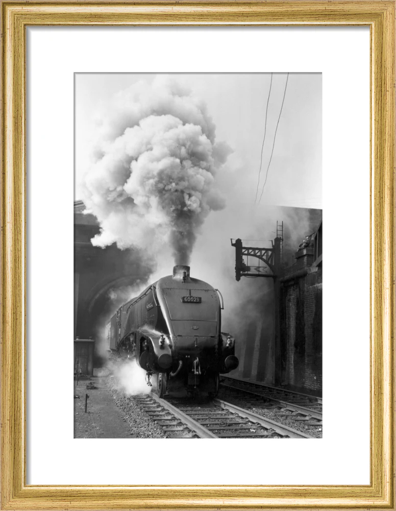 Woodcock', A4 Class steam locomotive No 60029 c.1954 - Image 43