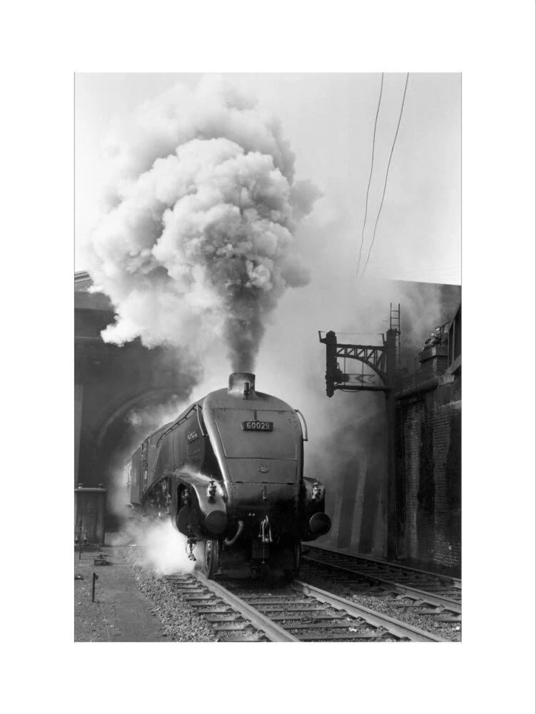 Woodcock', A4 Class steam locomotive No 60029 c.1954 - Image 45