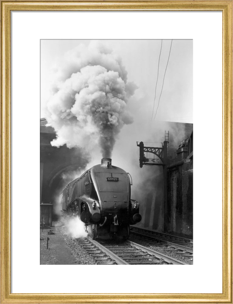 Woodcock', A4 Class steam locomotive No 60029 c.1954 - Image 48