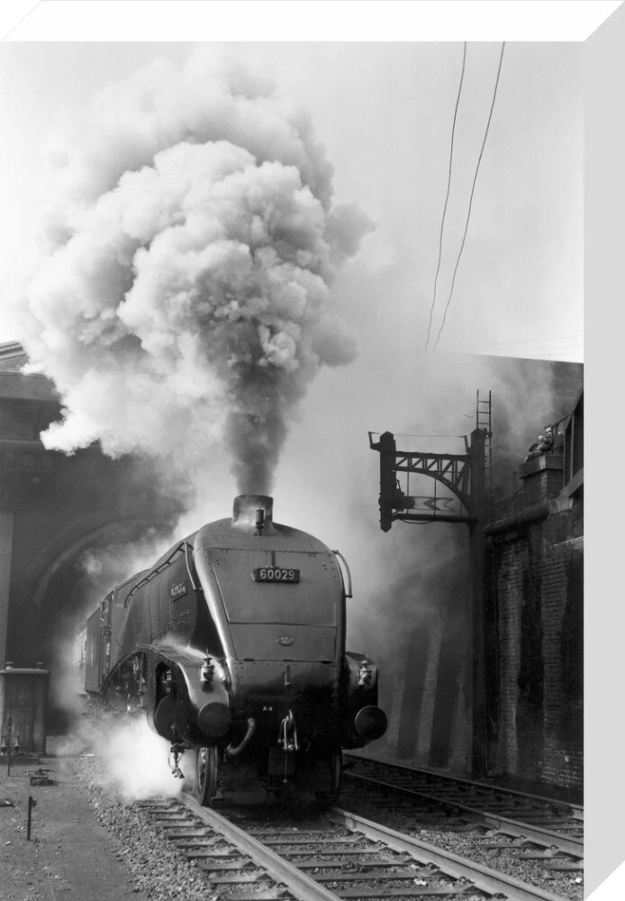 Woodcock', A4 Class steam locomotive No 60029 c.1954 - Image 65