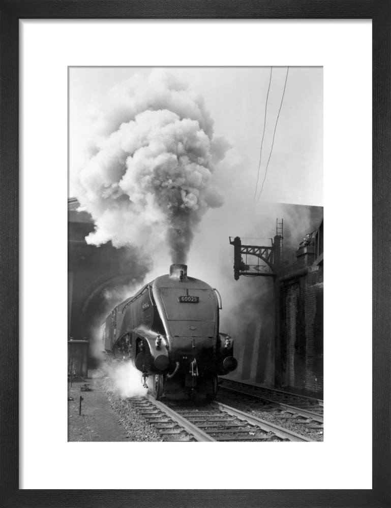 Woodcock', A4 Class steam locomotive No 60029 c.1954 - Image 8