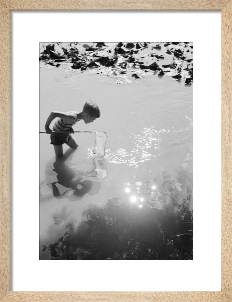 Young boy fishing with a net in a pond, c.1930s. - Image 11