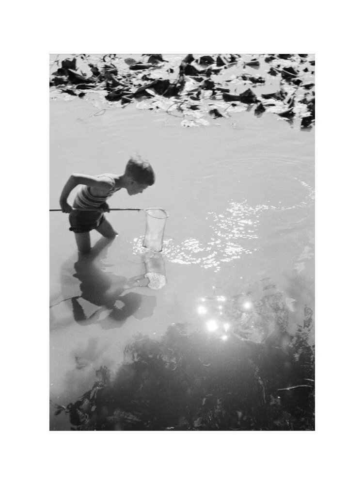 Young boy fishing with a net in a pond, c.1930s. - Image 22