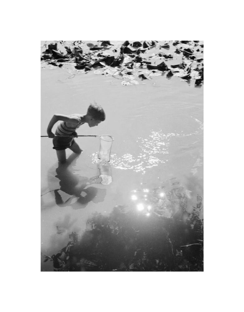 Young boy fishing with a net in a pond, c.1930s. - Image 27