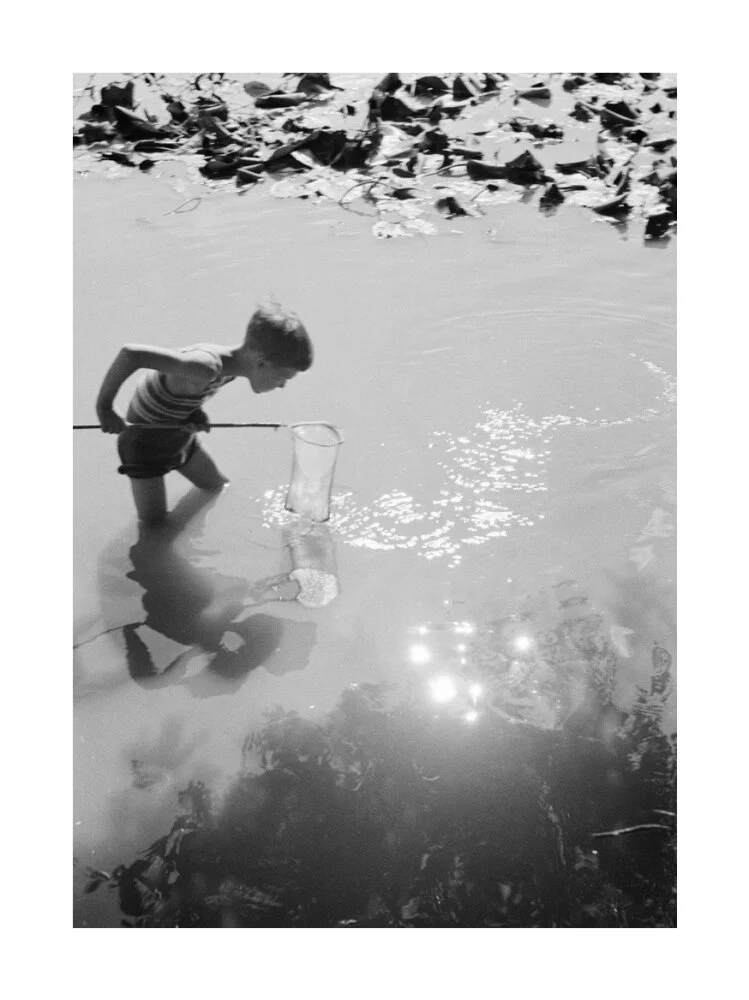 Young boy fishing with a net in a pond, c.1930s. - Image 29