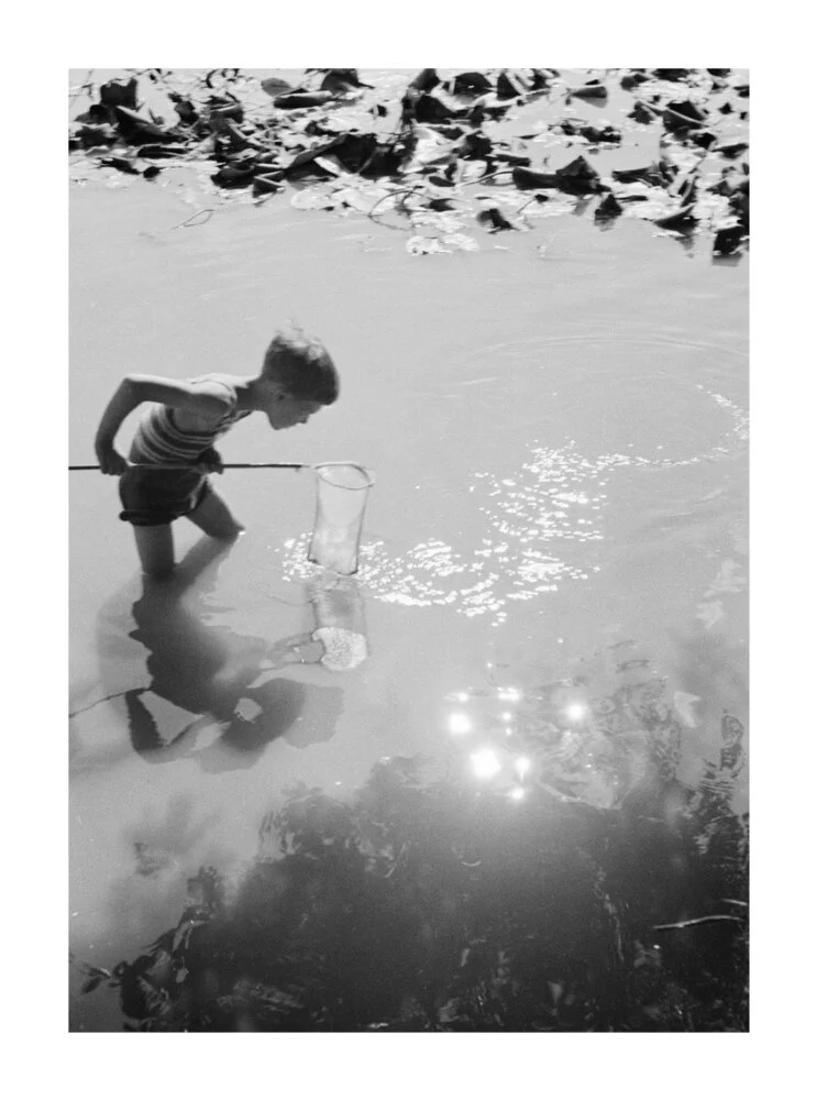 Young boy fishing with a net in a pond, c.1930s. - Image 30