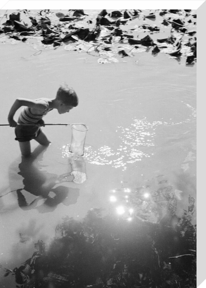 Young boy fishing with a net in a pond, c.1930s. - Image 33