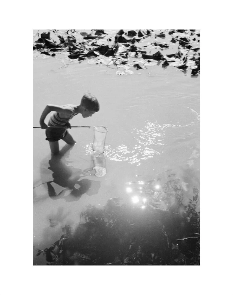 Young boy fishing with a net in a pond, c.1930s. - Image 35