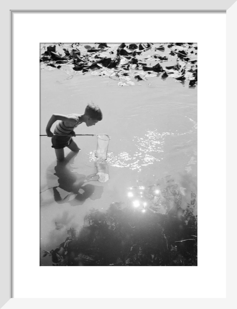 Young boy fishing with a net in a pond, c.1930s. - Image 42