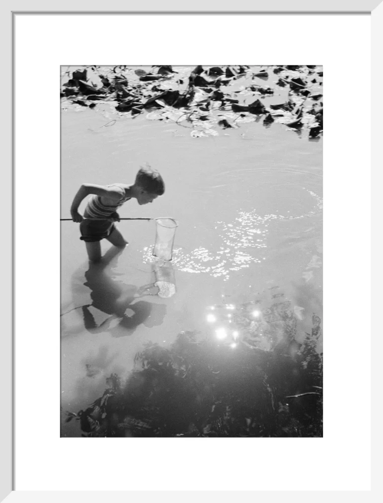 Young boy fishing with a net in a pond, c.1930s. - Image 47