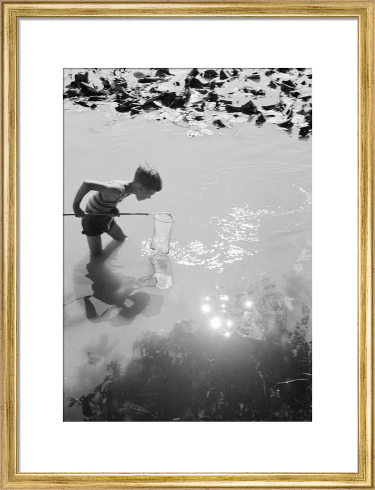 Young boy fishing with a net in a pond, c.1930s. - Image 48