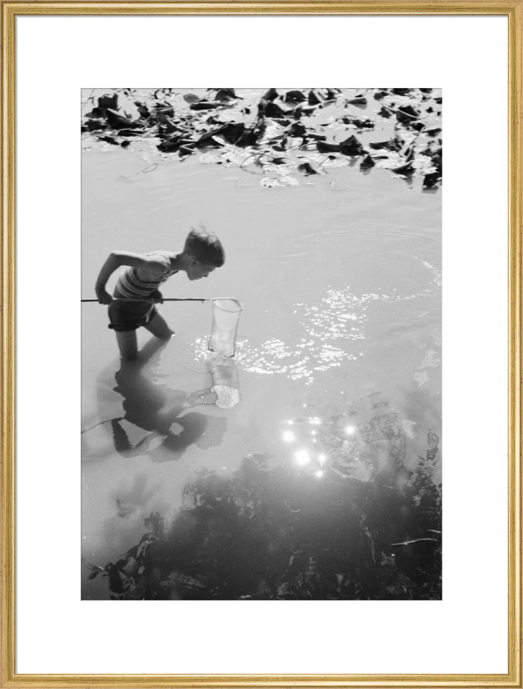 Young boy fishing with a net in a pond, c.1930s. - Image 58