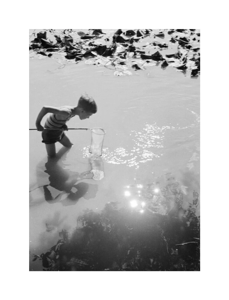 Young boy fishing with a net in a pond, c.1930s. - Image 61