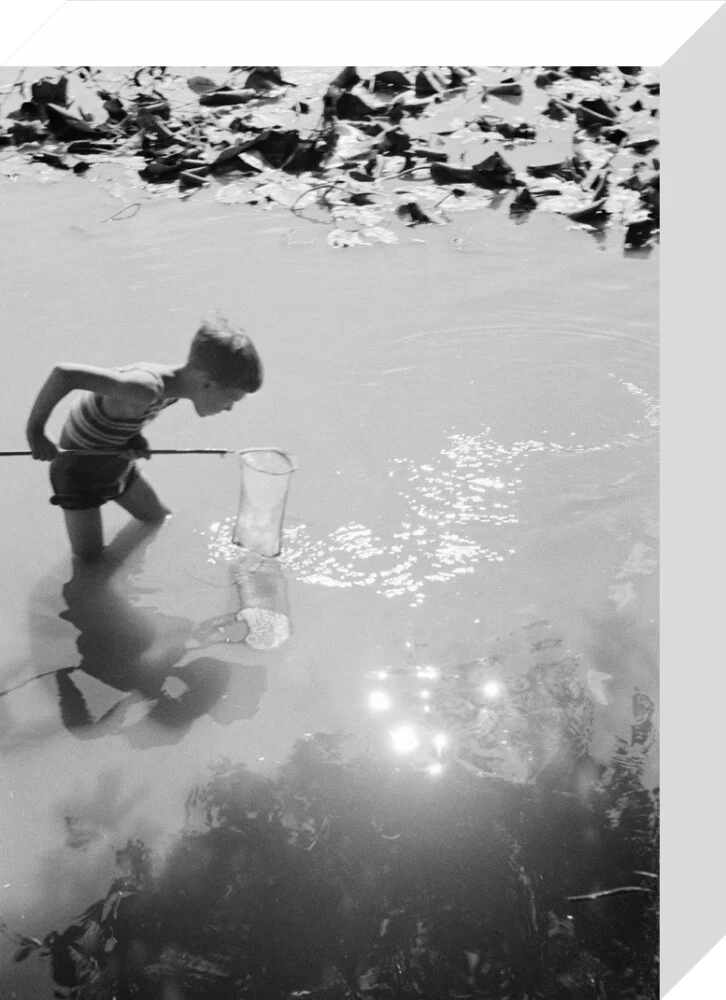 Young boy fishing with a net in a pond, c.1930s. - Image 64