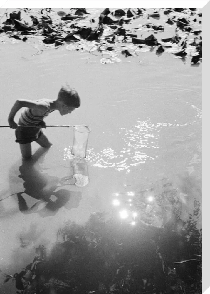 Young boy fishing with a net in a pond, c.1930s. - Image 67