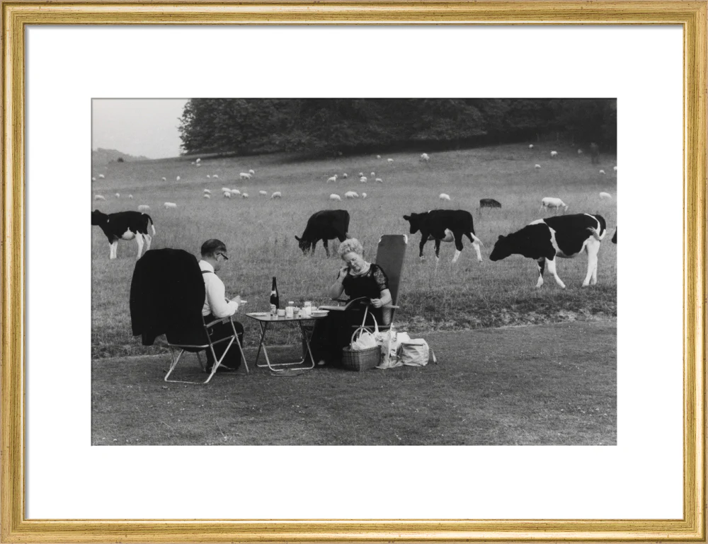 Glyndebourne - Image 15
