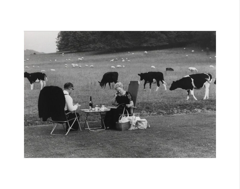 Glyndebourne - Image 2