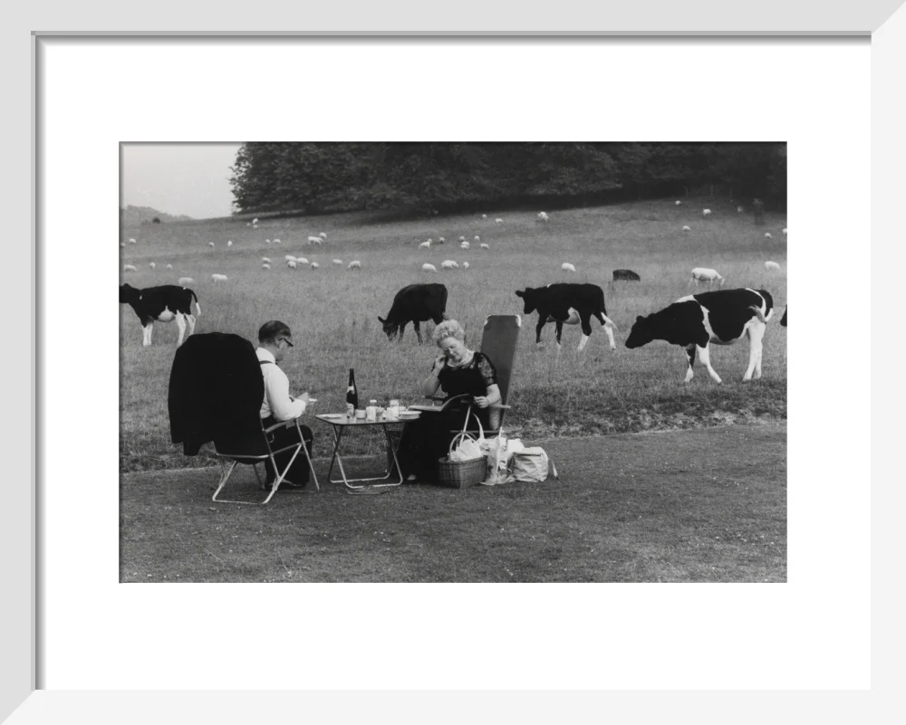 Glyndebourne - Image 4