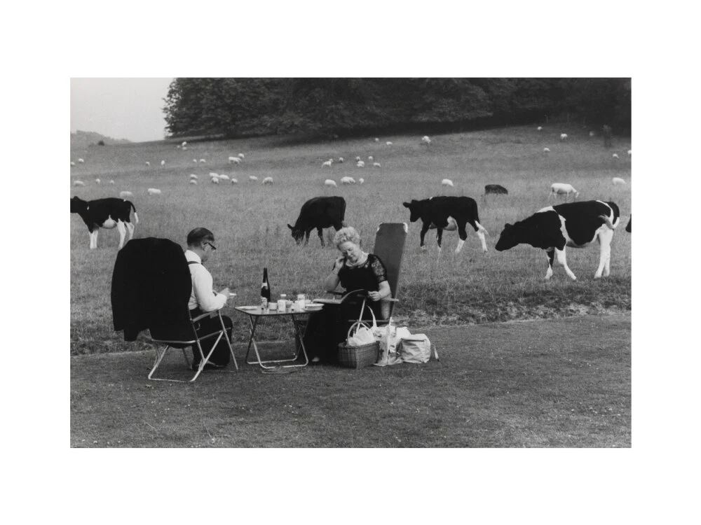 Glyndebourne - Image 7