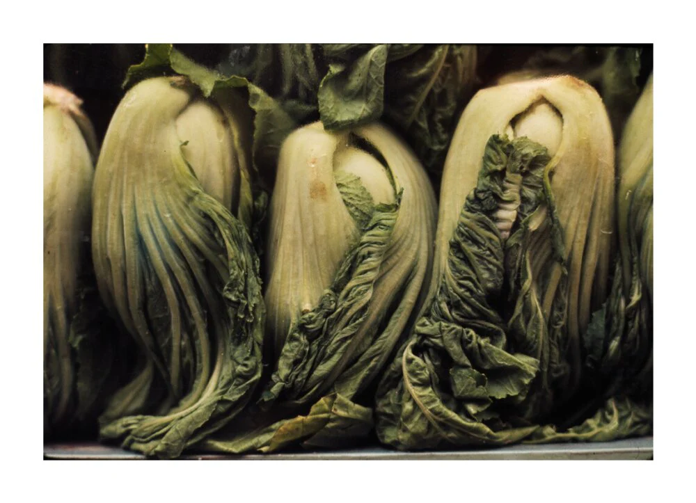 Still life of vegetables - Image 30