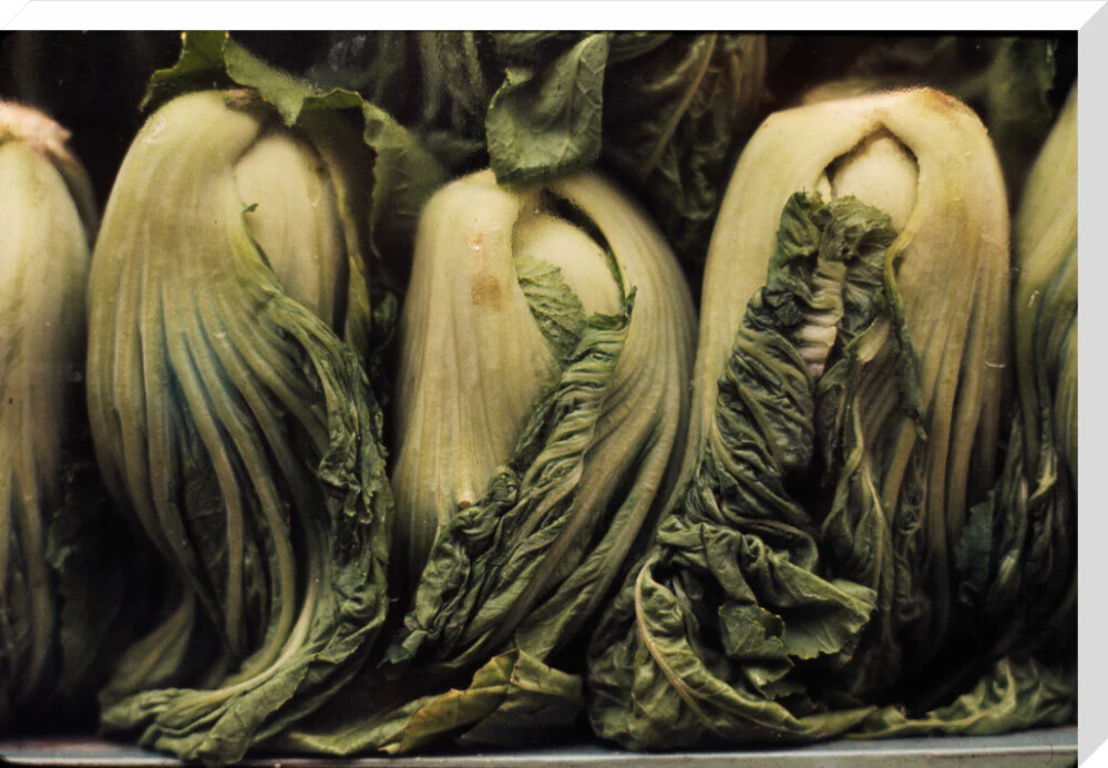 Still life of vegetables - Image 34
