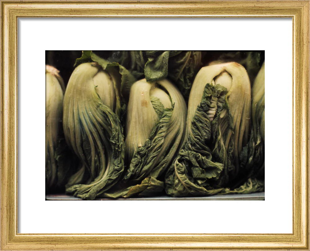 Still life of vegetables - Image 38