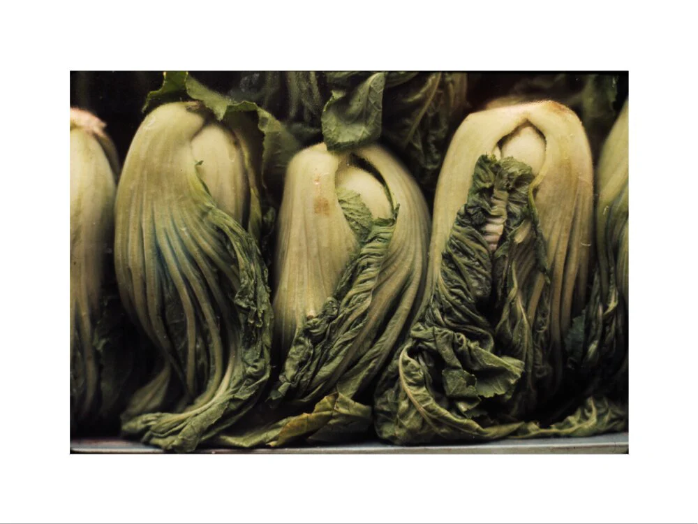 Still life of vegetables - Image 40