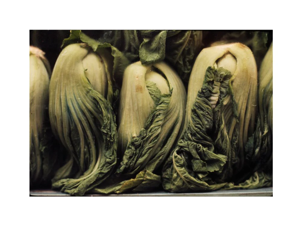 Still life of vegetables - Image 55