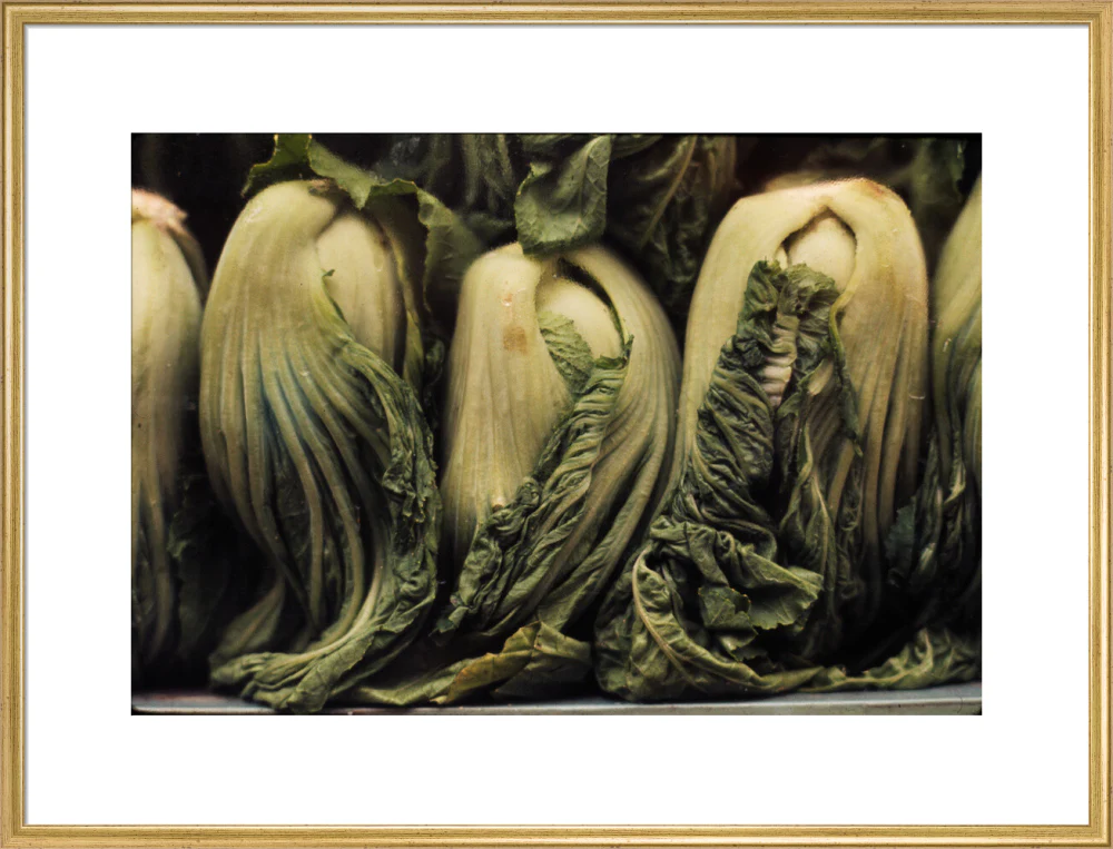 Still life of vegetables - Image 58
